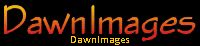 DawnImages
